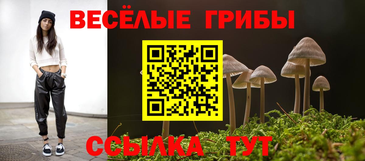 Галлюциногенные грибы Magic Shrooms Орёл